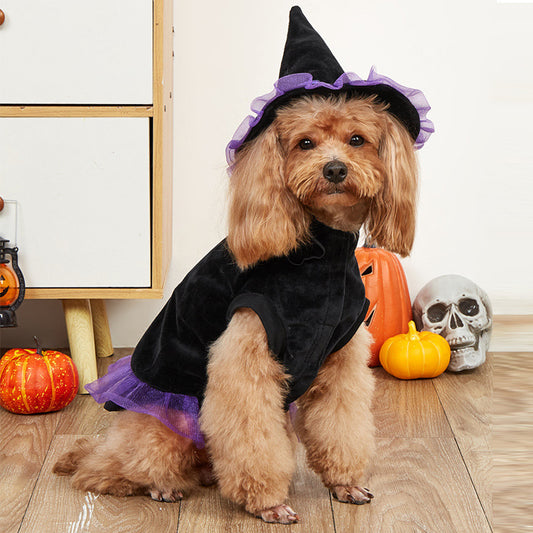 Wizard Pet Costume for Dogs & Cats | Halloween Witch Outfit with Hat