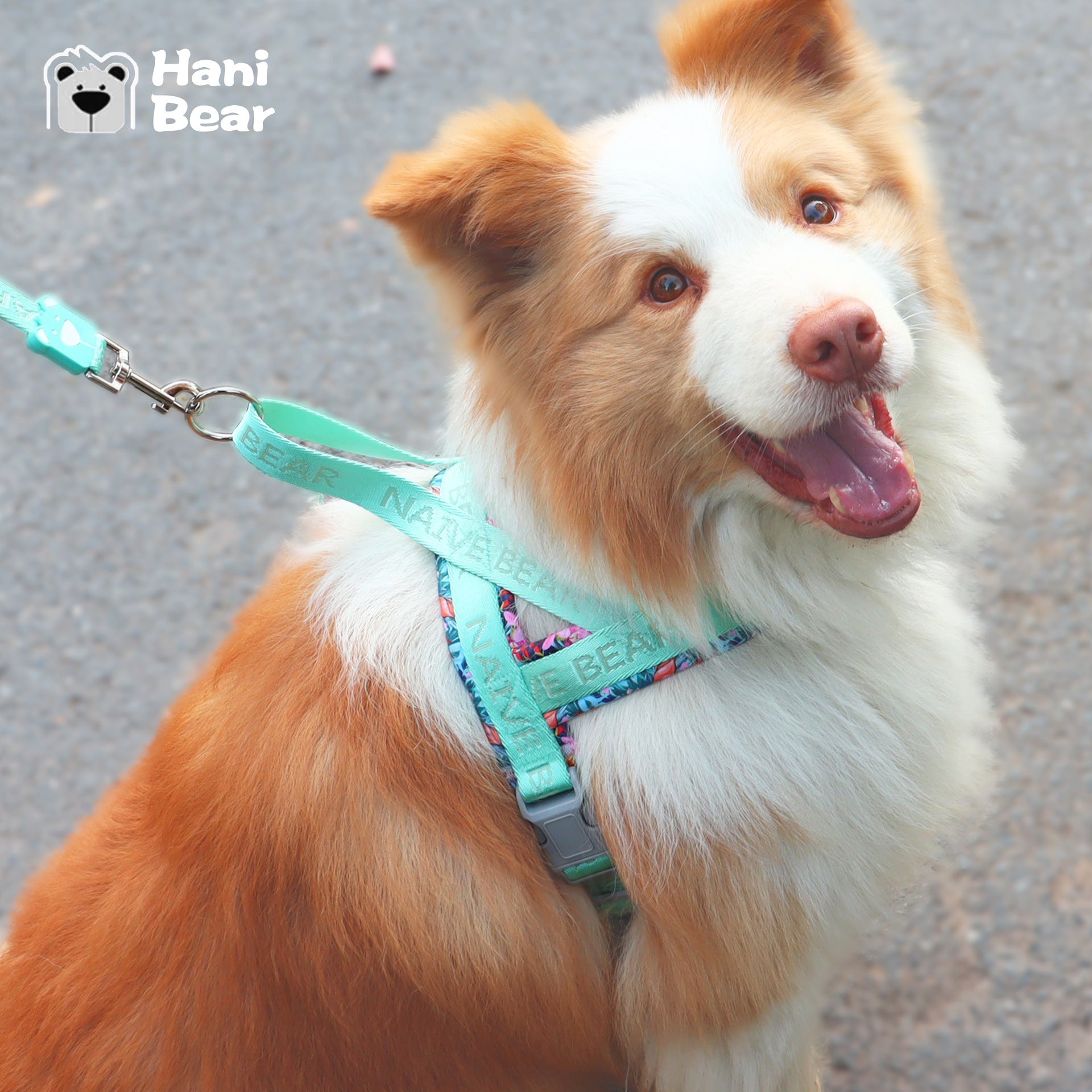 Lightweight No-Pull Dog Harness ? Adjustable Saddle Chest and Back Strap with Reflective Design for Small & Medium Dogs