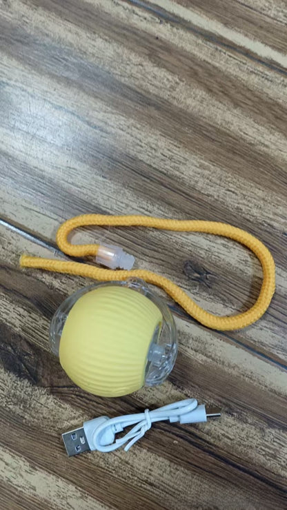 Smart Cat Teasing Ball - LED Interactive Electric Toy | USB Rechargeable Motion Ball Indoor Cats