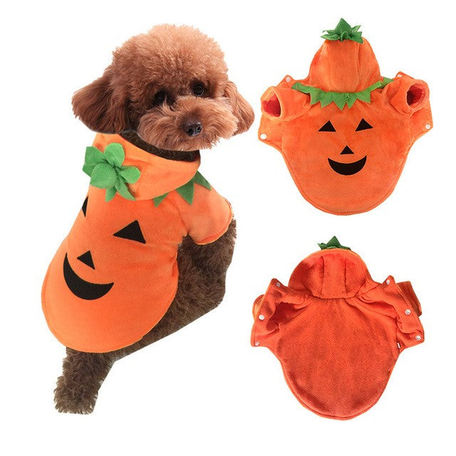 Halloween Pumpkin Pet Costume for Small Dogs and Cats