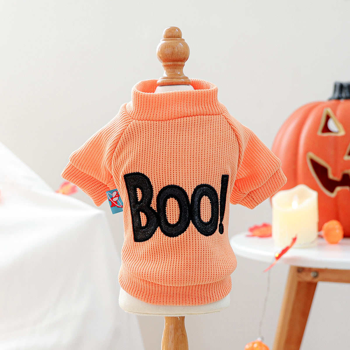 Halloween Pet Sweatshirt ? ?Good Witch? Cozy Pullover for Cats & Dogs