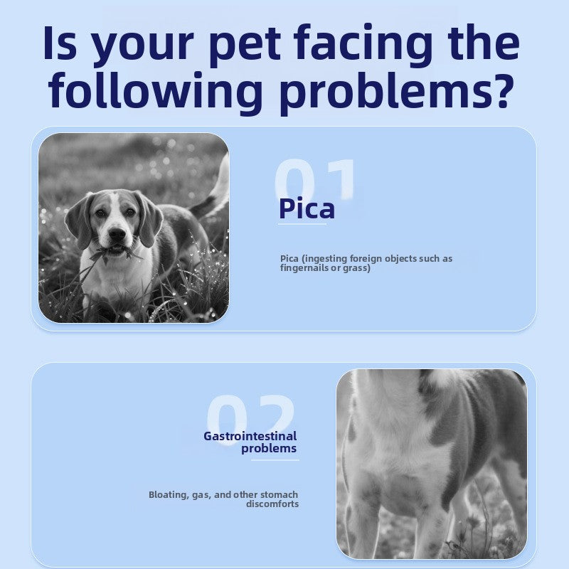 Pet Probiotic Chews for Dogs ? Digestive Health & Immune Support Soft Treats