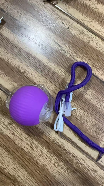 Smart Cat Teasing Ball - LED Interactive Electric Toy | USB Rechargeable Motion Ball Indoor Cats