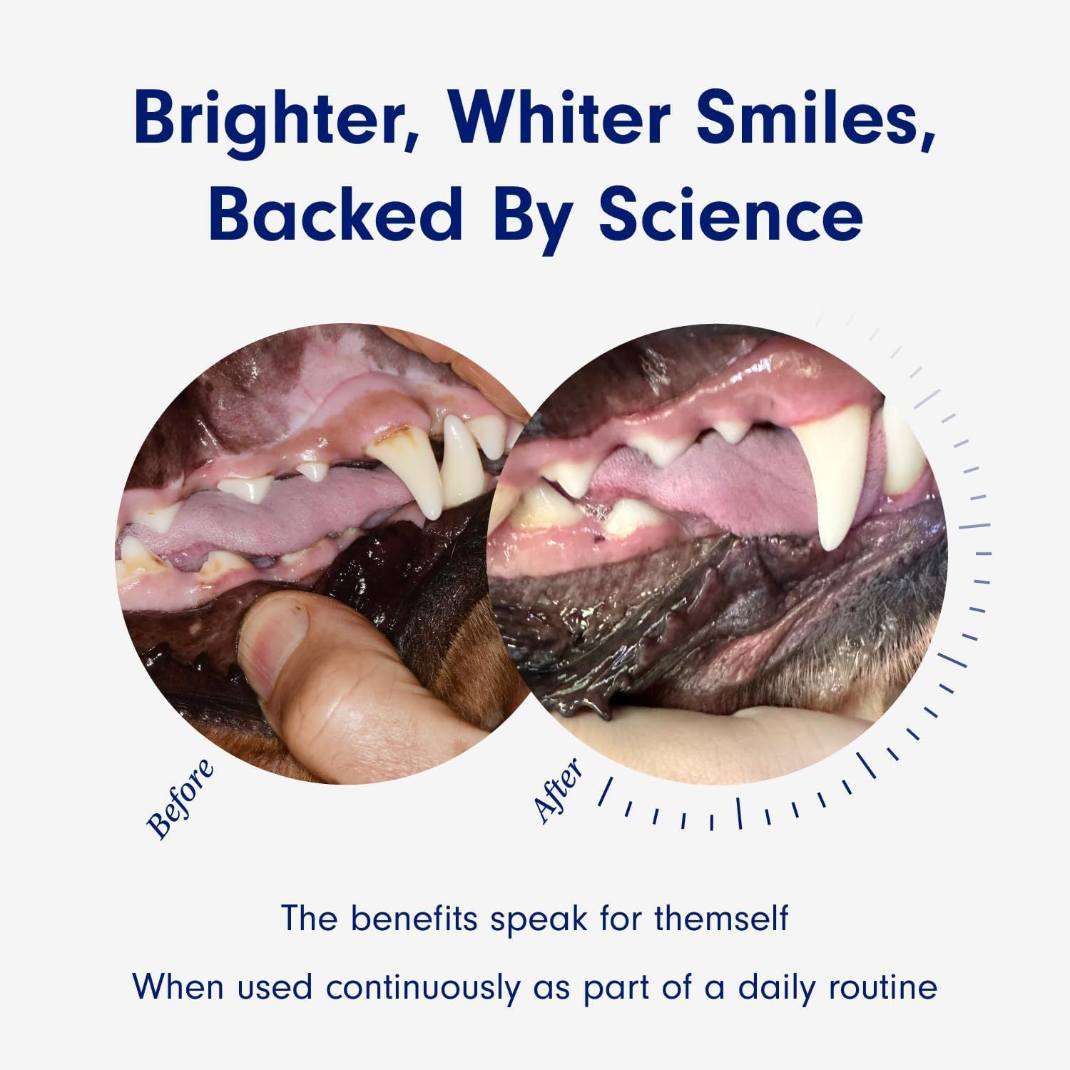 Pet Dental Cleaning Powder for Dogs & Cats ? Fresh Breath & Tartar Control Formula