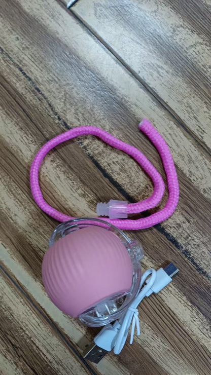 Smart Cat Teasing Ball - LED Interactive Electric Toy | USB Rechargeable Motion Ball Indoor Cats