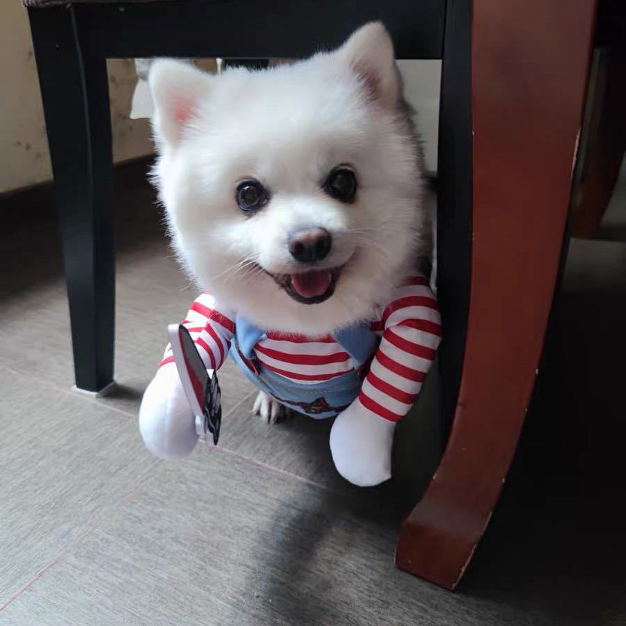 Funny Killer Pet Costume – Halloween Outfit for Dogs & Cats with Knife Prop