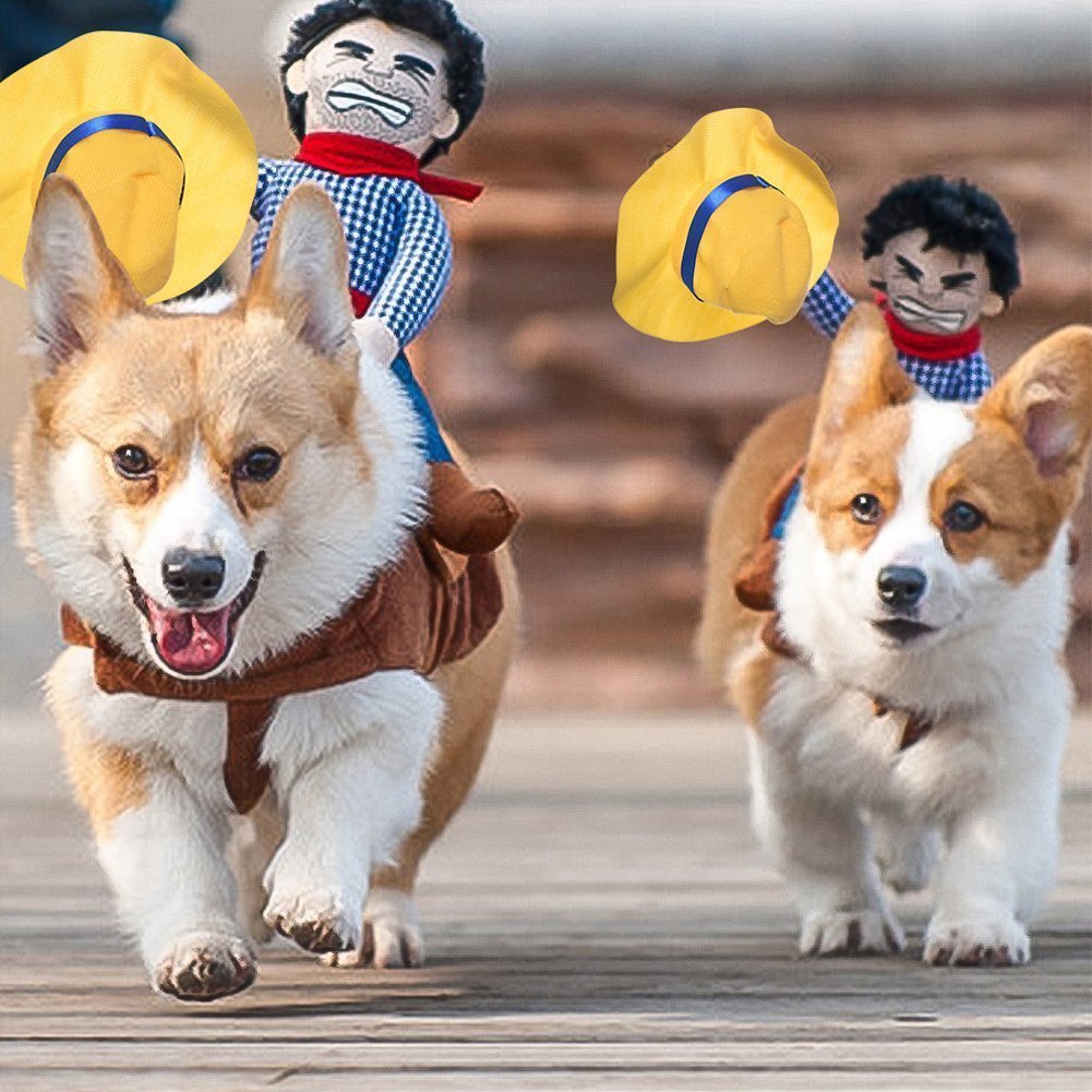 Funny Pet Cowboy Riding Costume for Dogs | Horse Rider Dog Outfit