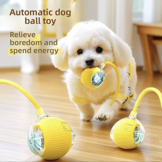 Interactive Dog Ball Toy - Automatic Electric Pet Toy with Rope - Active Play, Training & Boredom