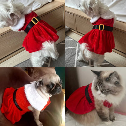 Pet Cat Christmas Dress Cute Santa Claus Outfits for Small Medium Cats Dogs Skirt Festival Dress Up