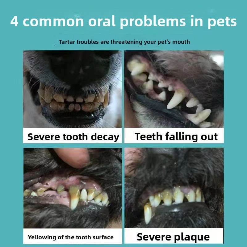 Smart Sonic Pet Dental Cleaner for Dogs & Cats ? Safe Teeth & Gum Care Tool