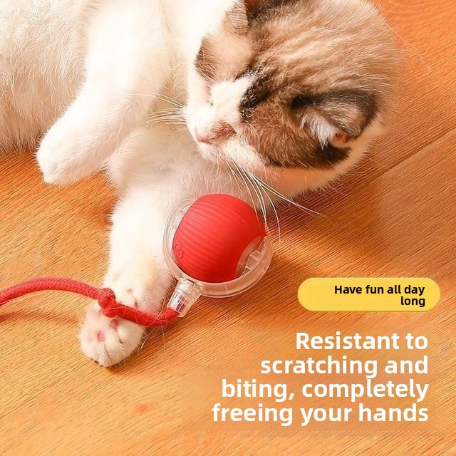 Smart Interactive Dog Ball Toy ? Automatic Electric Pet Toy with Rope for Active Play, Training & Boredom Relief