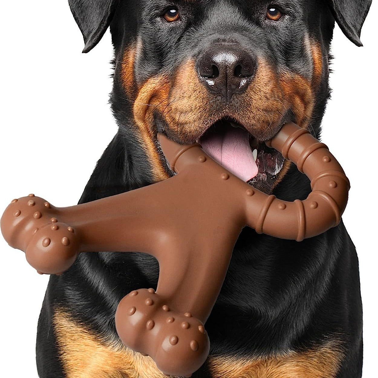 Durable Nylon Dog Chew Toy – Beef Flavor Bone for Aggressive Chewers